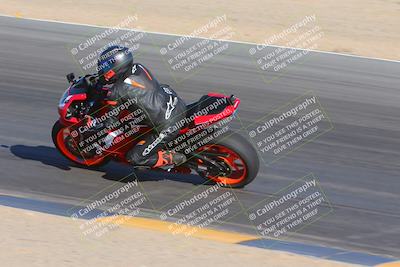 media/Nov-11-2023-SoCal Trackdays (Sat) [[efd63766ff]]/Turn 10 Inside (120pm)/